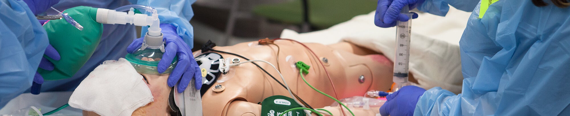 Simulation Program