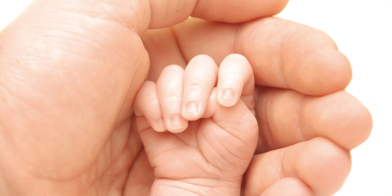 A newborn's hand inside an adult's hand