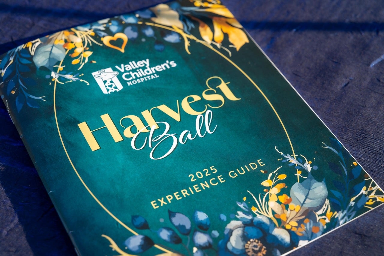 harvest ball experience guide