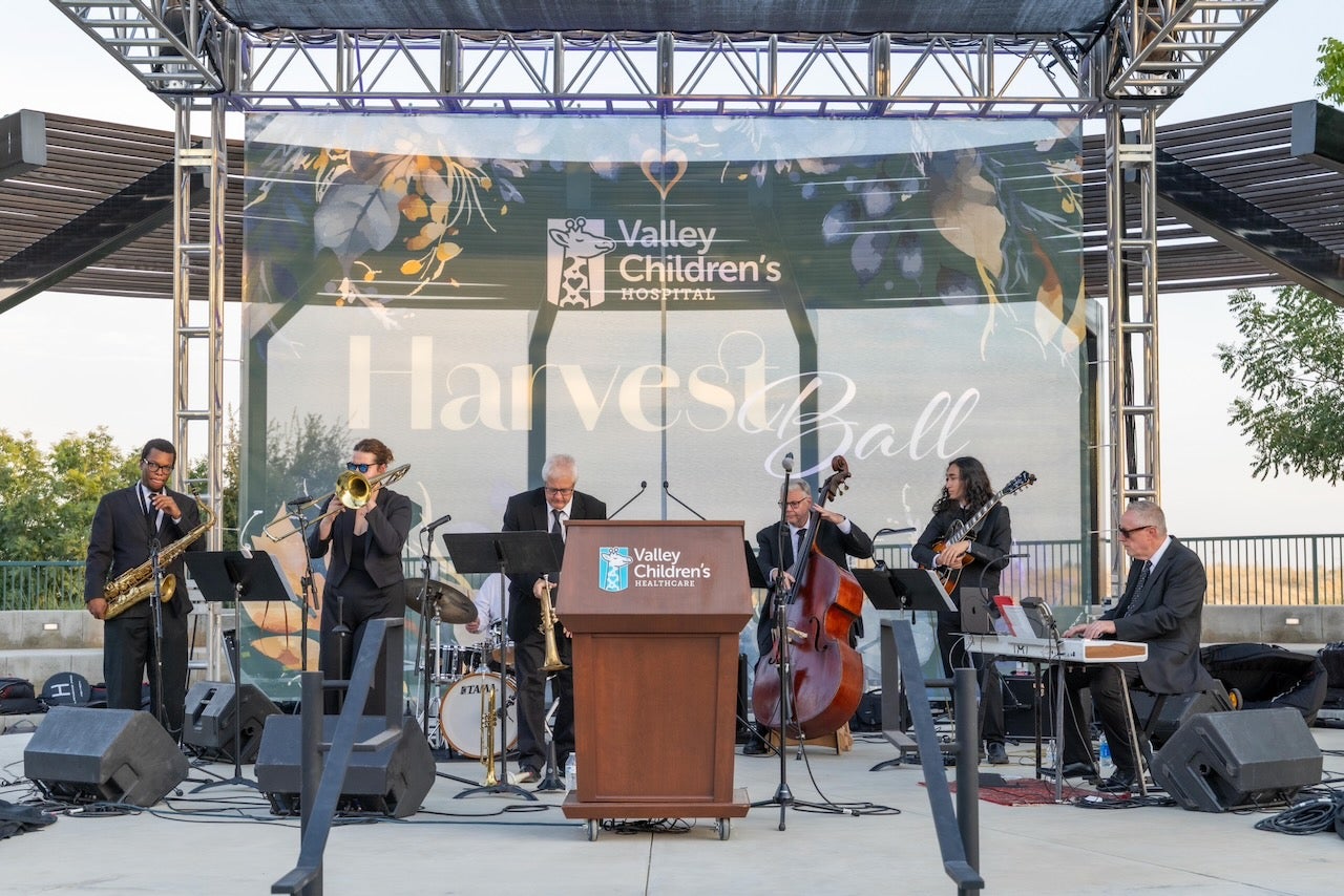 musicians playing instruments on stage