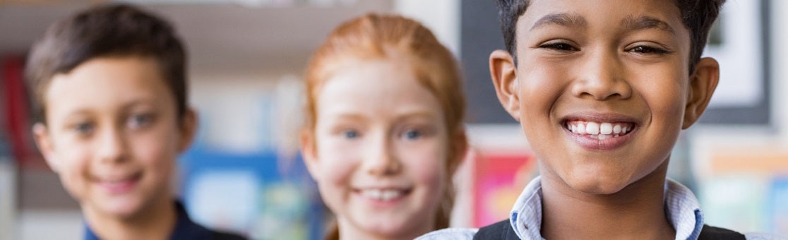 Priority Area: School And Student Health