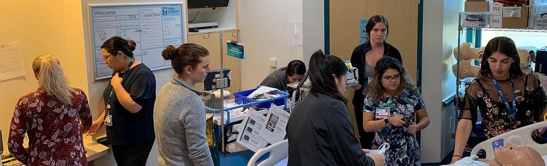 Simulation Program Scholarly Activity