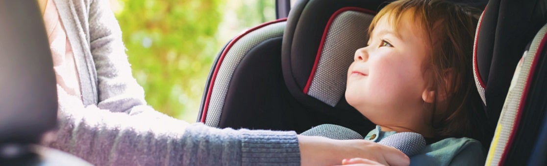 Priority Area: Child And Infant Health And Safety