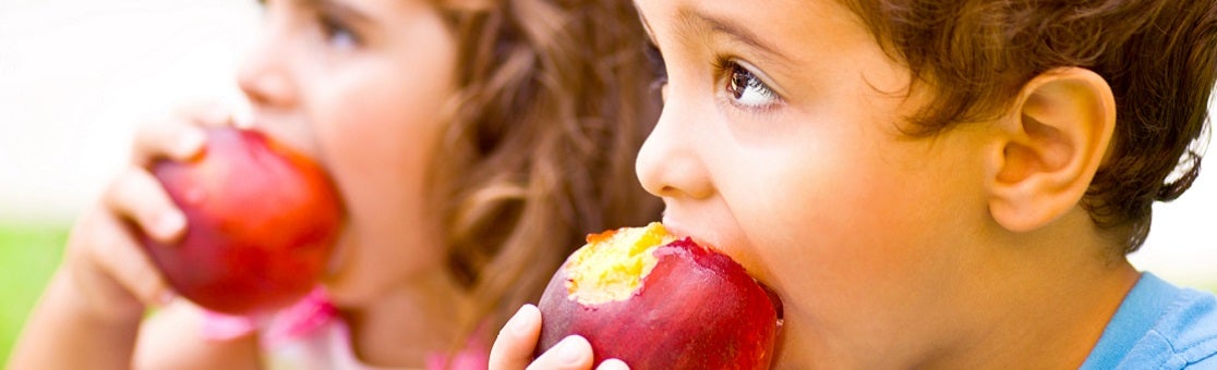 Priority Area: Access To Healthy Food And Beverages