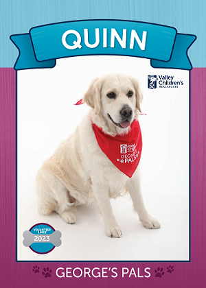 Photo of George's Pals - Quinn