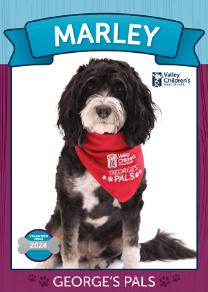 Photo of George's Pals canine volunteer Marley