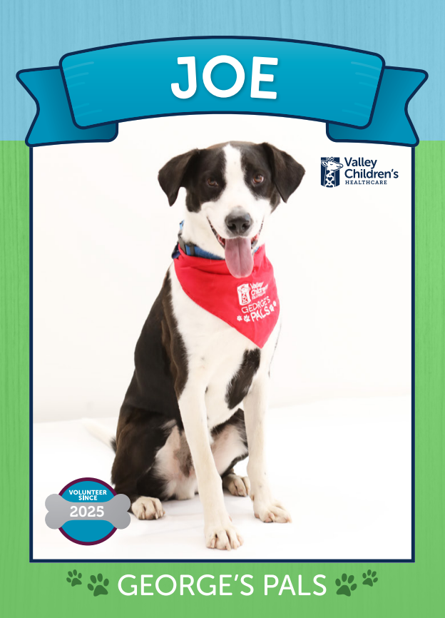 Joe, George's Pals Volunteer