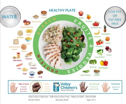 A healthy plate guide