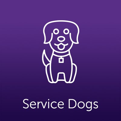 Epilepsy Service Dogs